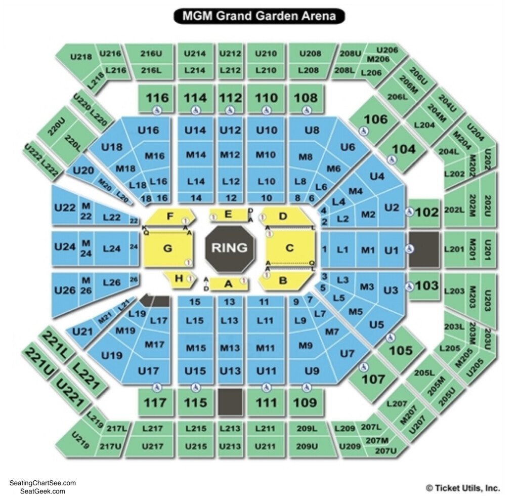 MGM Grand Garden Arena Seating Charts Views Games Answers Cheats